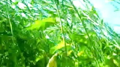 नोवा गुलाबी नए तहखाने में फुल सेक्सी मूवी वीडियो में
